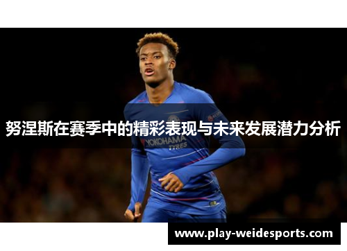 努涅斯在赛季中的精彩表现与未来发展潜力分析